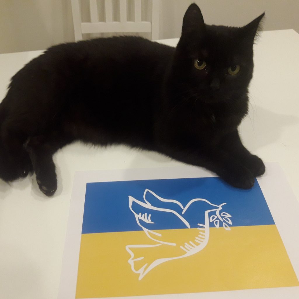 Molly mit ukrainischer Friedensflagge
